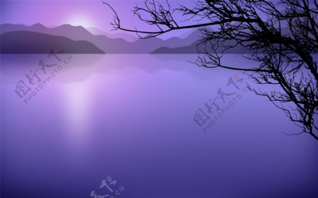 紫色反射日落背景JPG