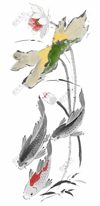 水墨锦鲤