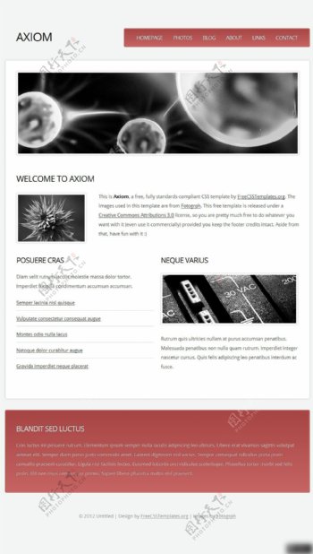 科学研究类网页设计