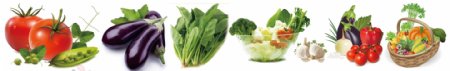 水果蔬菜蔬菜图片