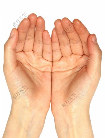 双手手势PSD素材3