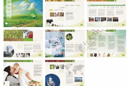 国外农牧行业画册设计图片
