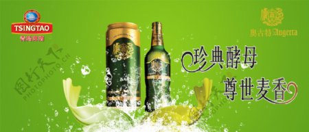 青岛啤酒奥古特图片