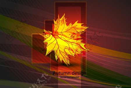 秋天枫叶封面背景矢量素材
