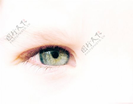 眼部特写蓝色眼睛绿色眼睛棕色眼睛大眼睛小眼睛双目表情