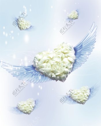 翅膀白色心形图片