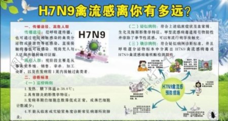 h7n9禽流感图片