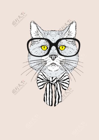 戴眼镜围巾的猫