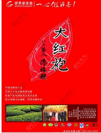 武夷星茶业海报图片