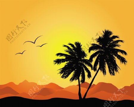 棕榈树的剪影矢量沙漠日落