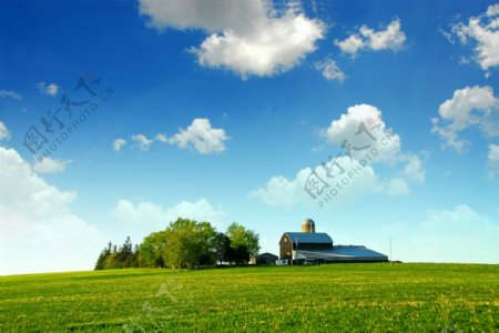 草地大树房子蓝天白云高清图片