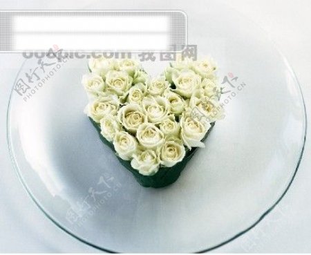 花的艺术心型花艺浪漫的心鲜花特写白色玫瑰苞