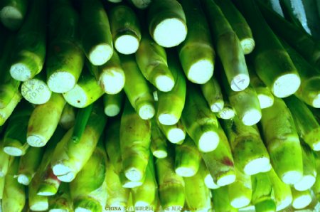 蔬菜茭白芦苇类图片