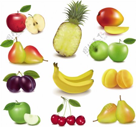 各种新鲜水果的设计元素矢量图04