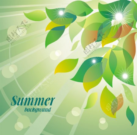 新鲜的夏花幻影背景矢量素材4绿色叶子提神