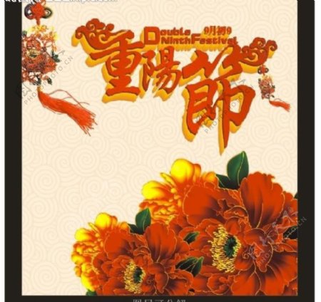 重阳节图片