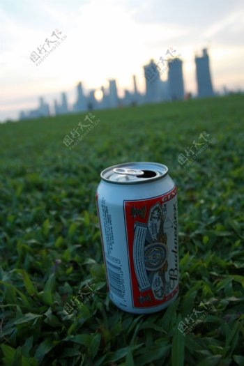 放在草坪上的啤酒罐图片