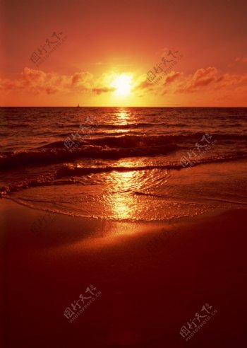海边的日出图片