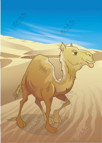 矢量可爱卡通骆驼