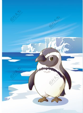 动物插画企鹅图片