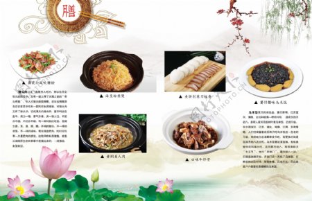 中国风餐饮素材下载