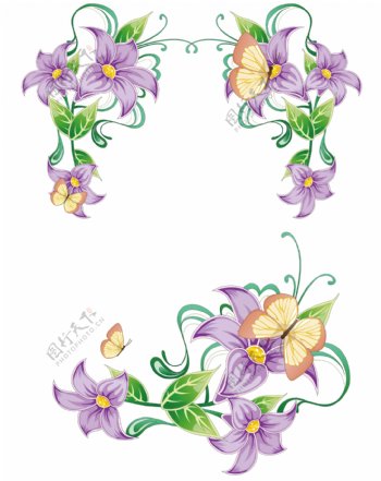 紫色花朵黄色蝴蝶