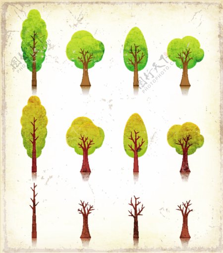 树木与树叶矢量图.