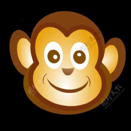 有趣的猴子的脸