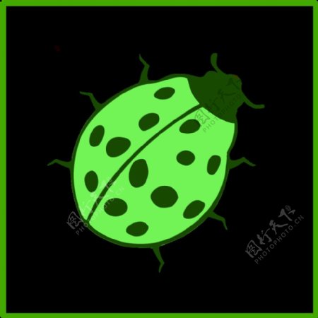 生态绿色甲虫图标