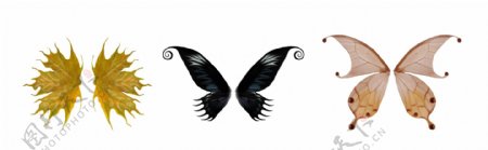 三款精美蝴蝶翅膀素材图片
