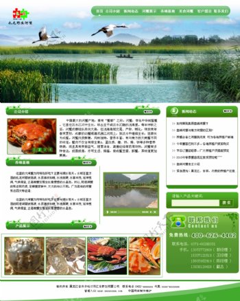 绿色河蟹网页设计图片
