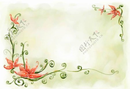 花纹植物分层素材花卉图片PSD素材