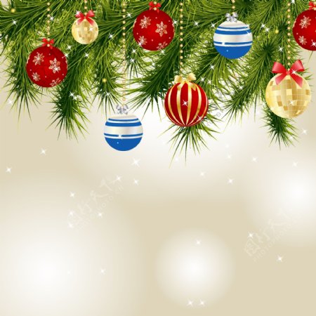 松枝圣诞背景图片