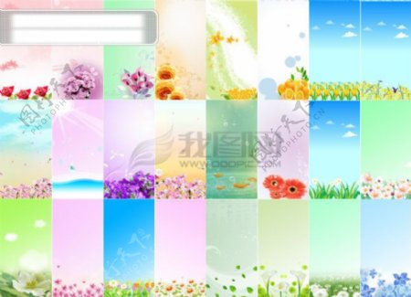 花卉主题展板背景PSD模板
