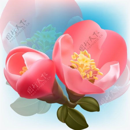 印花矢量图植物花卉花朵色彩免费素材
