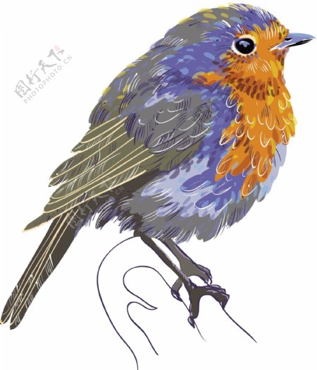 印花矢量图动物鸟类羽毛抽象动物免费素材