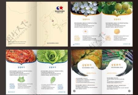 韩国美食画册图片
