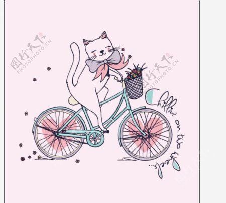小猫骑自行车图