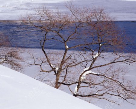 冬天雪景