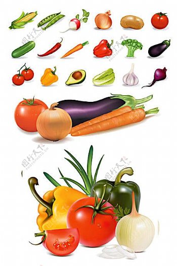 几种常见蔬菜矢量素材
