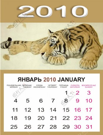 2010只老虎年历