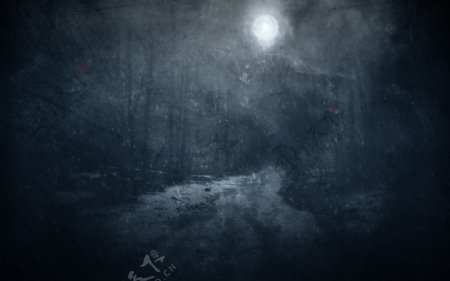 寒冬月色下的幽暗森林小径