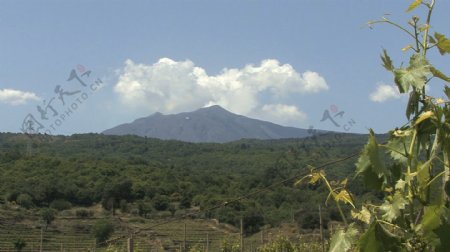 西西里岛的埃特纳火山与葡萄34股票的录像视频免费下载