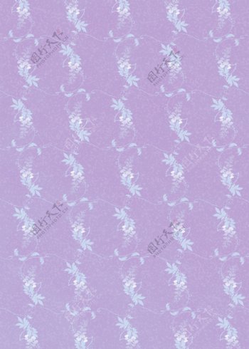 紫色藤蔓植物分布背景图片