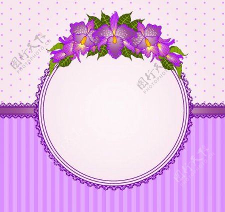 矢量素材精美紫色花朵边框