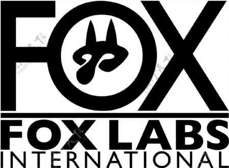 狐狸实验室国际
