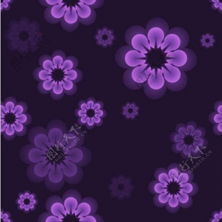花紫色辉光在黑暗的背景