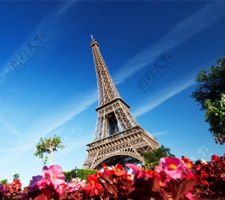 巴黎埃菲尔铁塔蓝天鲜花仰望爱情