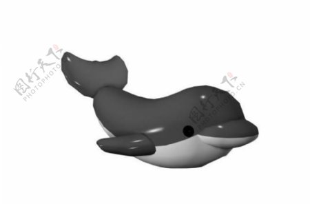 海豚模型图片