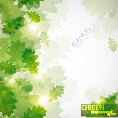 绿色的叶子背景矢量素材04
